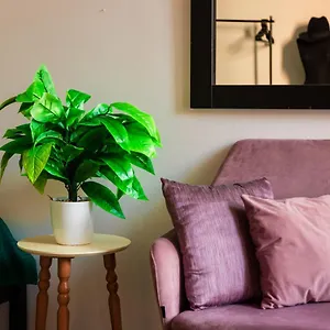 The Tropical House Appartamento Tirana